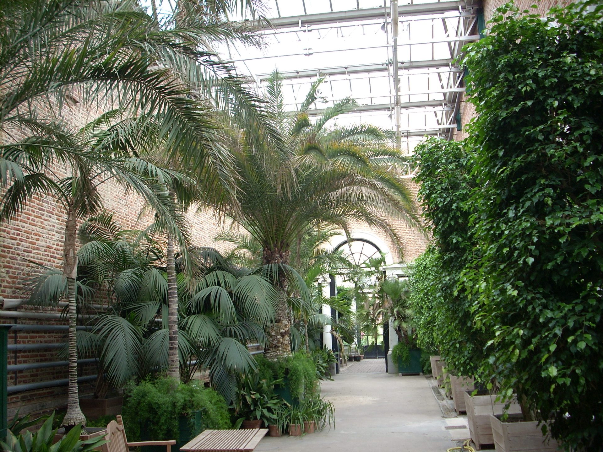 Botanical Garden, Leuven - 04.JPG